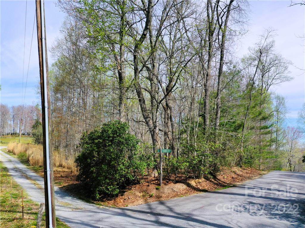 43 Reeses Ridge Court - Photo 1