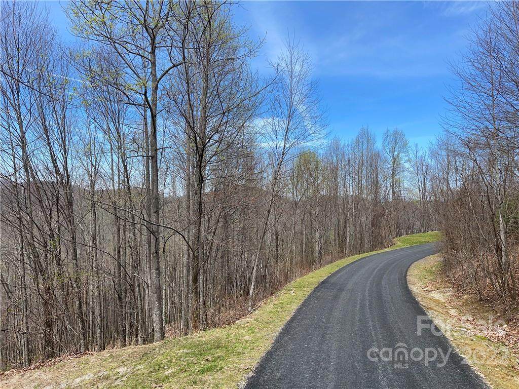 675 Bluemist Way - Photo 1