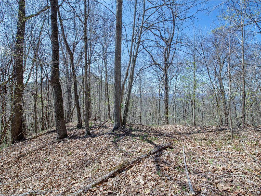 770 Spring Valley Drive - Photo 1