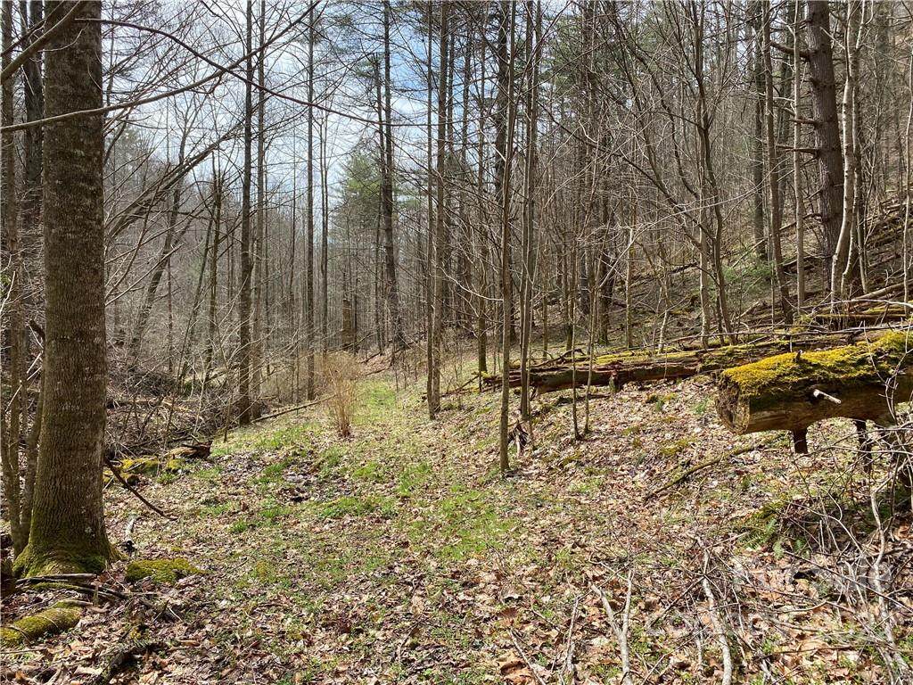 TBD Brummetts Creek Road - Photo 1