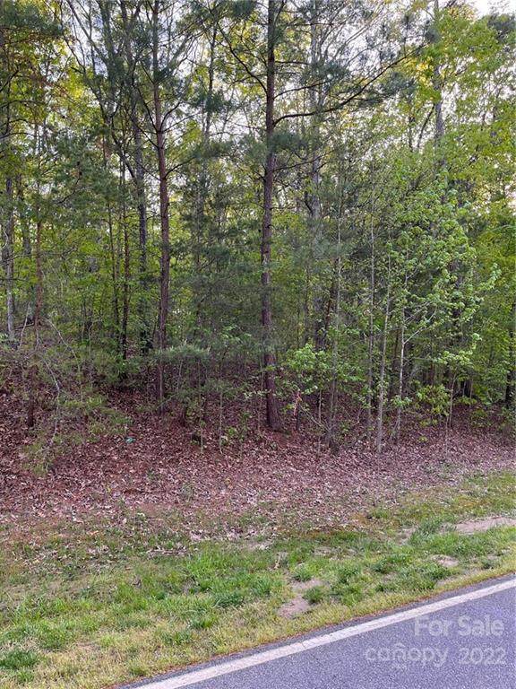 Lot 3 Patternote Road - Photo 1