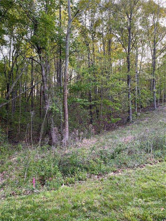 Lot 2 Patternote Road - Photo 1