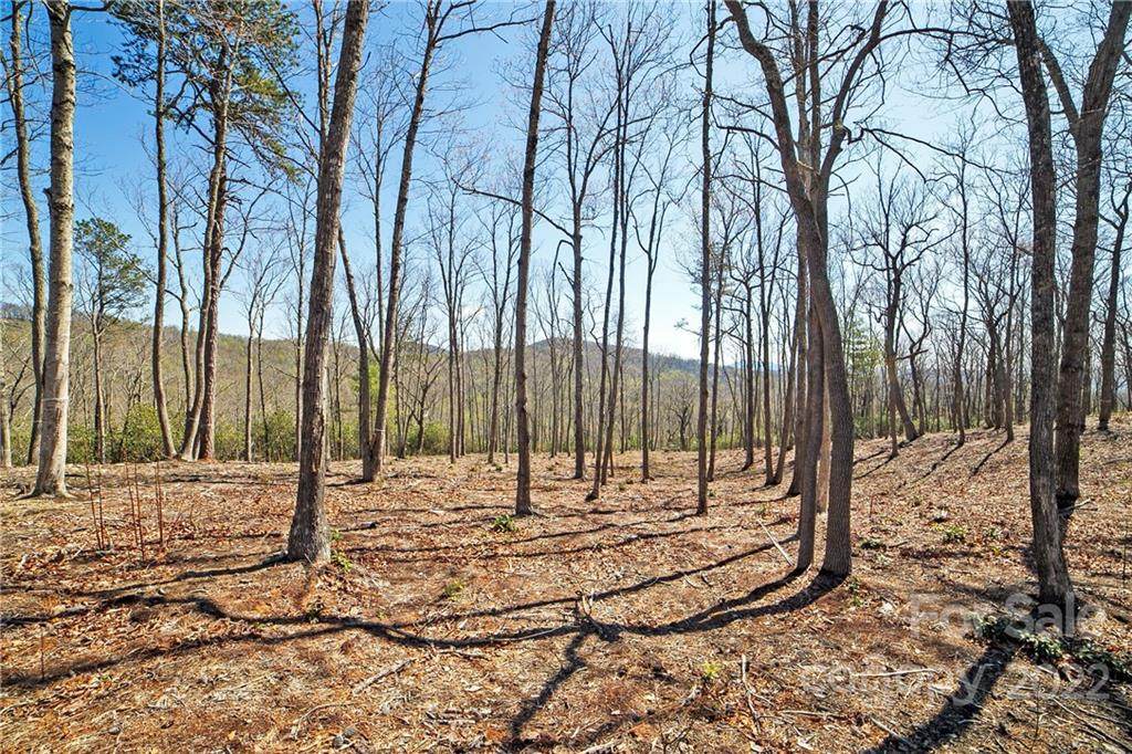 Lot 58 Mountain Grove Lane - Photo 1