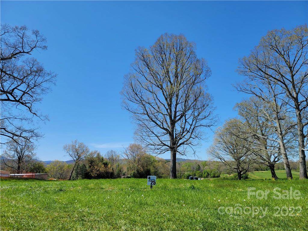 #25 Pisgah Ridge Trail - Photo 1