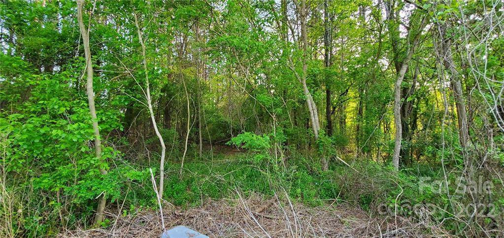 0 Huffman Road - Photo 1