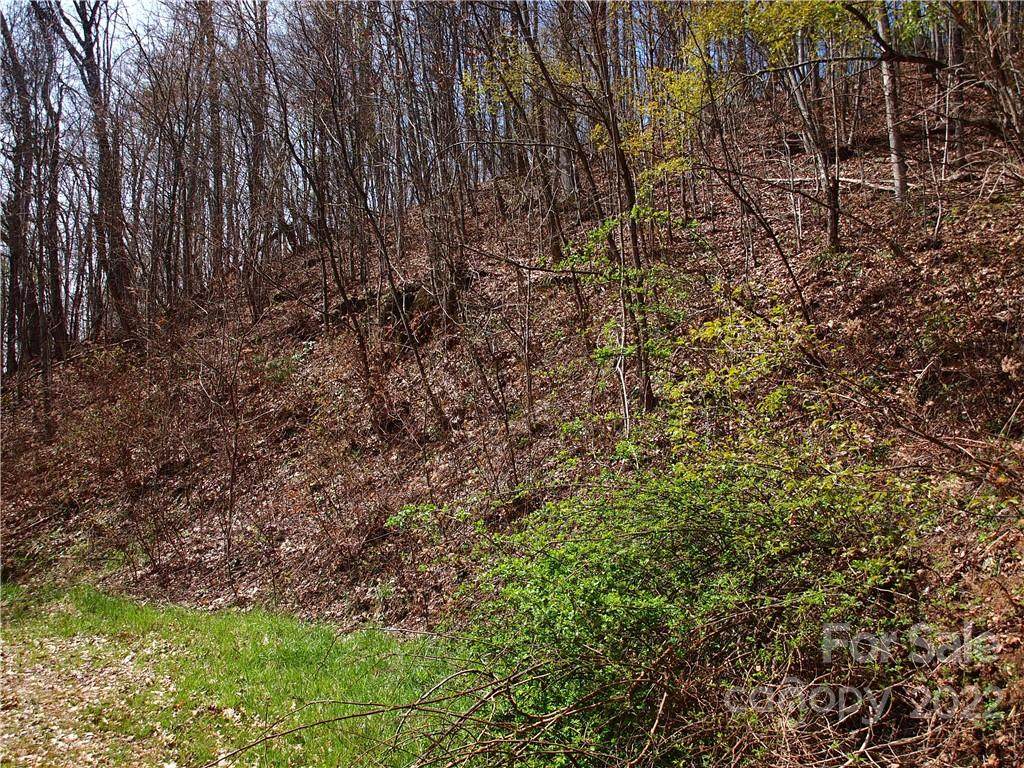 00 Yonah Trail - Photo 1