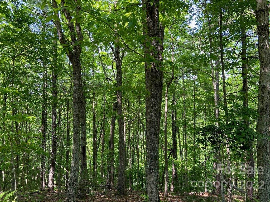 4171 French Broad Parkway - Photo 1