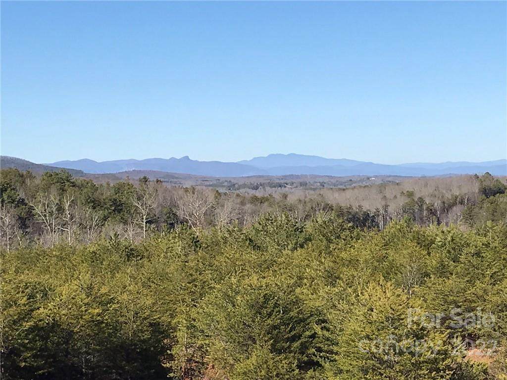 11 Pleasant Ridge Trail - Photo 1