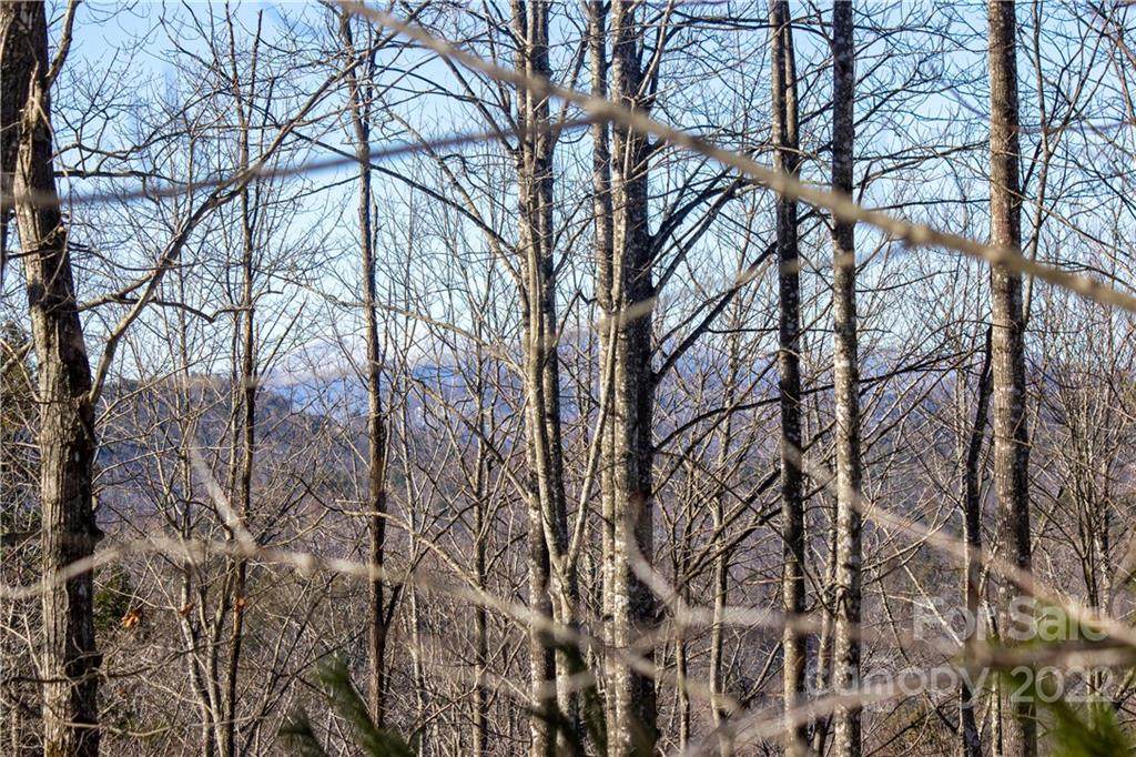 Lot# 161 Ridge Stone Lane - Photo 1
