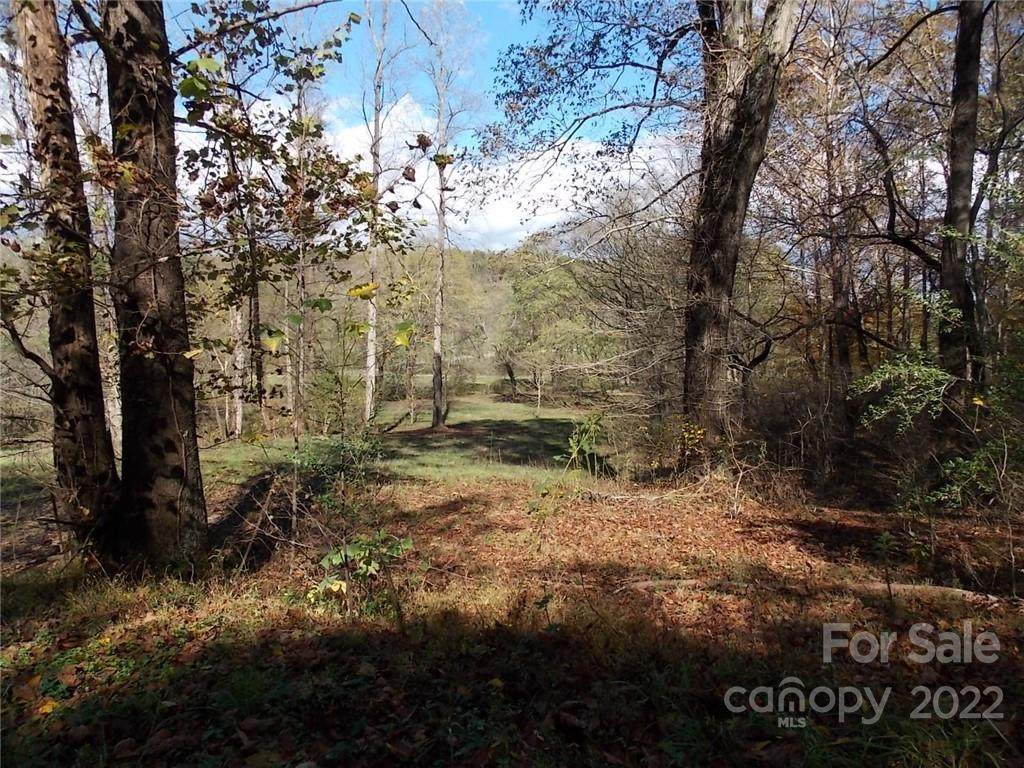 Lot 4 Meadows Station Drive - Photo 1
