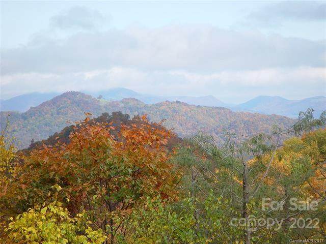 Lot C32 Odalu Trail - Photo 1