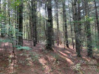 Lot 81 Village Pines Way - Photo 1