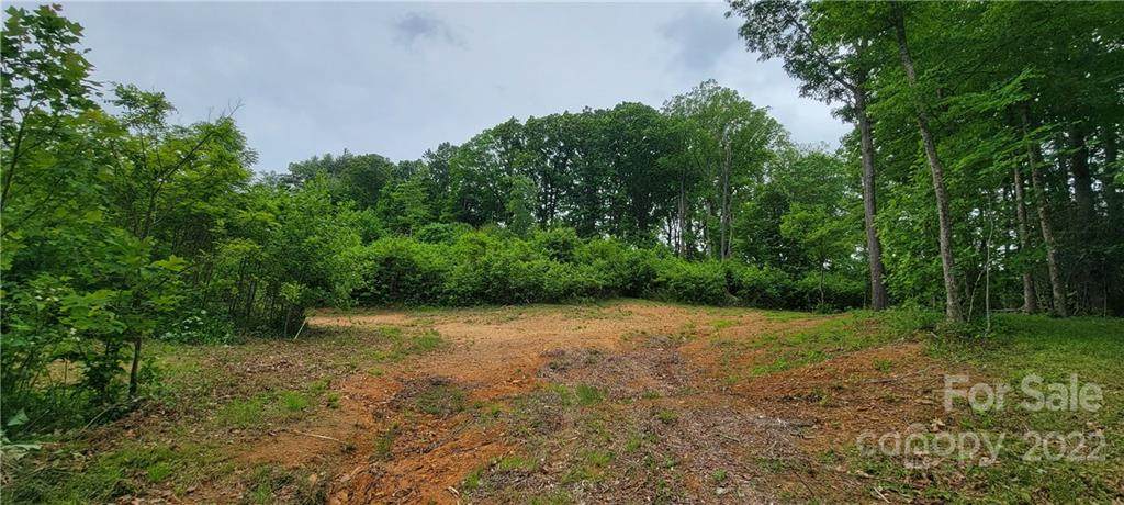 1260 Nc Hwy 194 Highway - Photo 1
