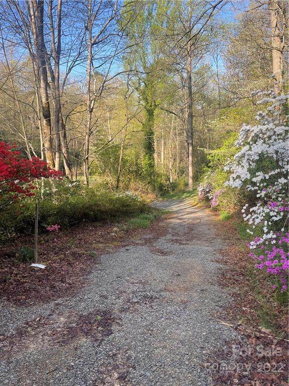 454 Patton Mountain Road - Photo 1