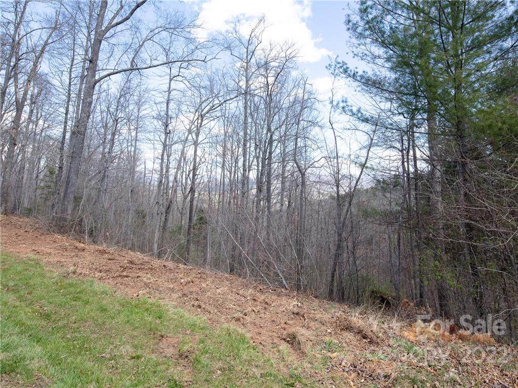 45 Chimney Crest Drive - Photo 1