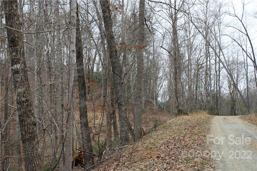 00 Rock Branch Road - Photo 1