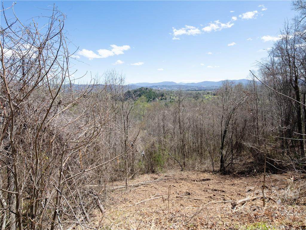 55 Ben Lippen School Road - Photo 1