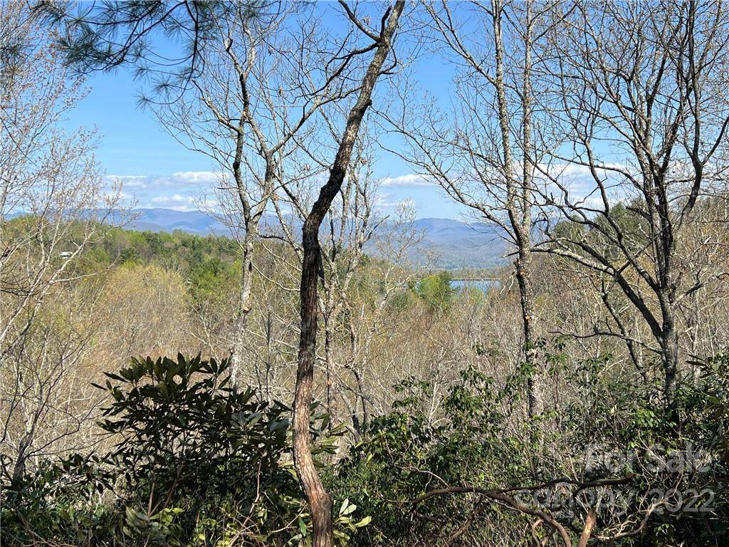 Lot 625 Lost Mine Trail - Photo 1