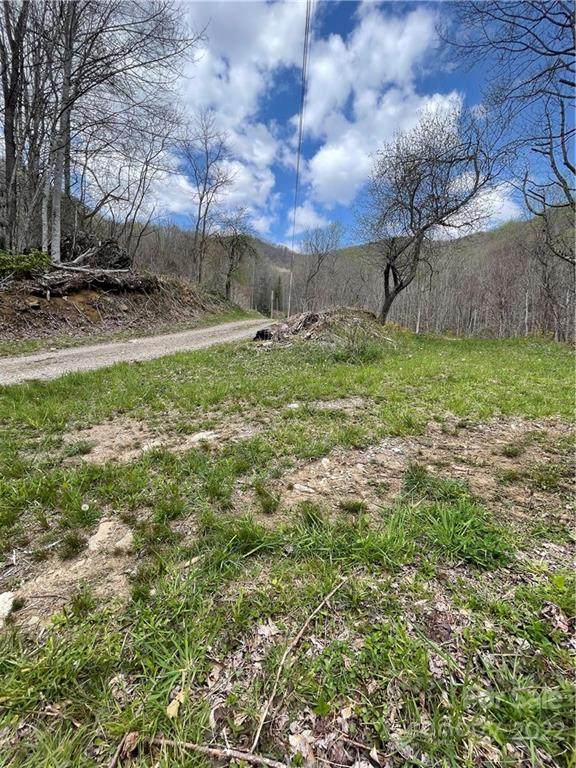 12.13 Acres Haney Creek Road - Photo 1