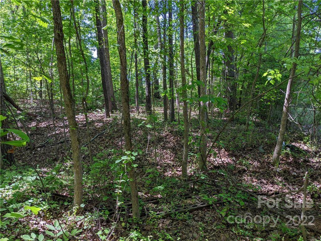 11209 Downing Place - Photo 1