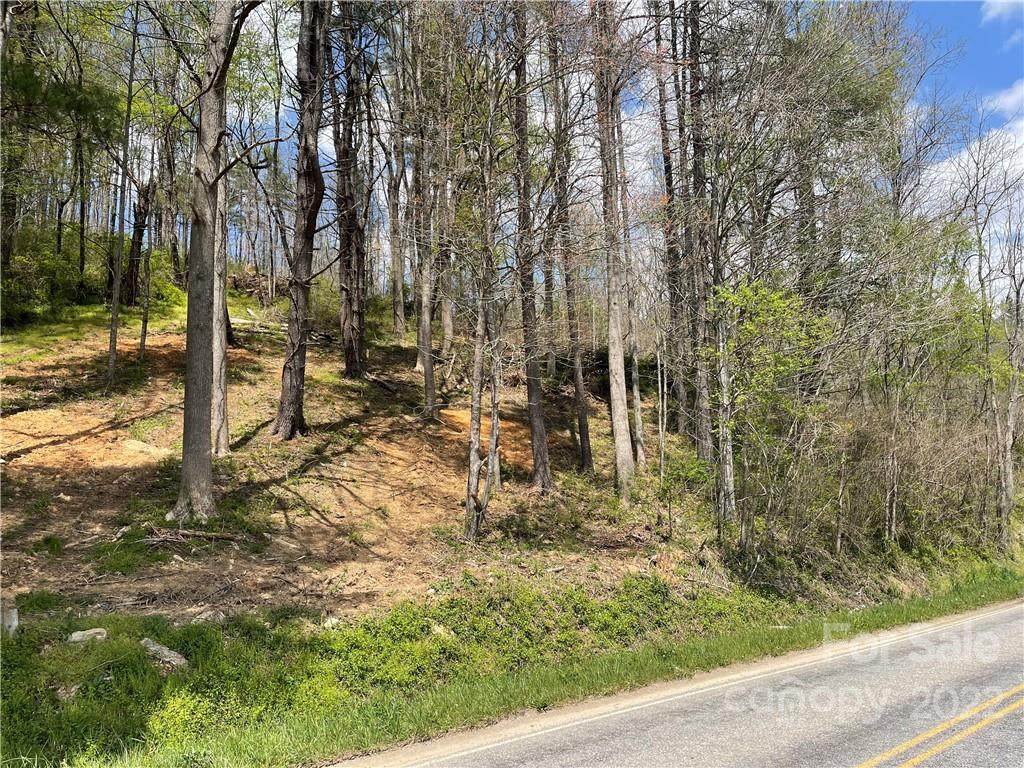 #3 Fines Creek Road - Photo 1