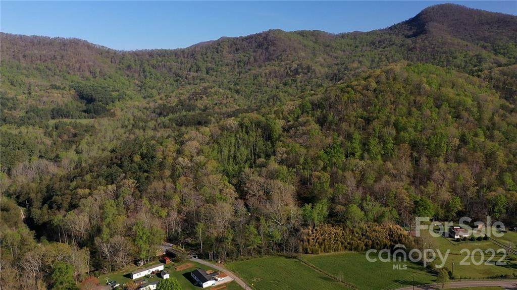 540 Old Bee Tree Road - Photo 1