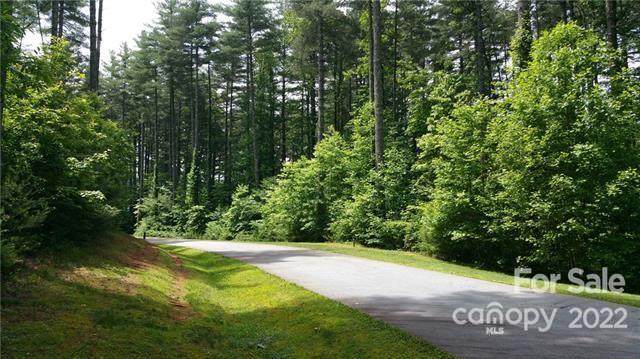TBD Stone Field Trail - Photo 1