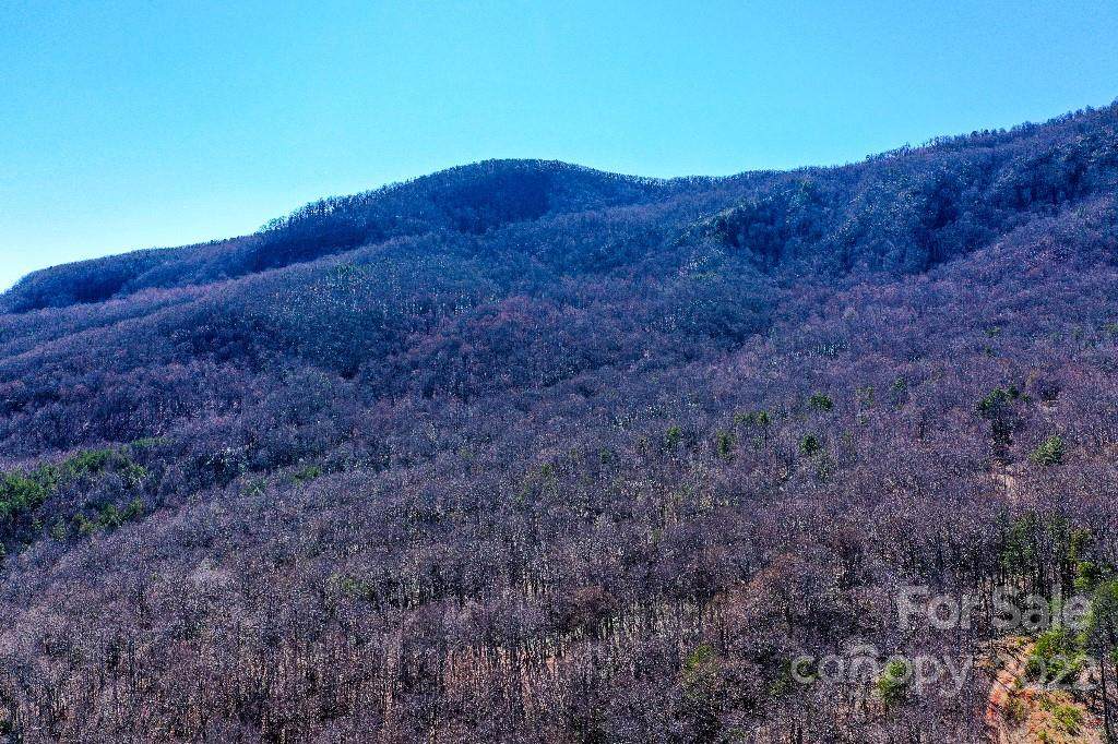 LOT #8 Jude Gap Road - Photo 1