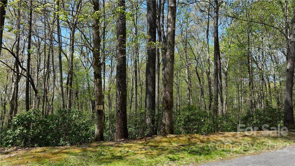 000 Poplar Crest Drive - Photo 1
