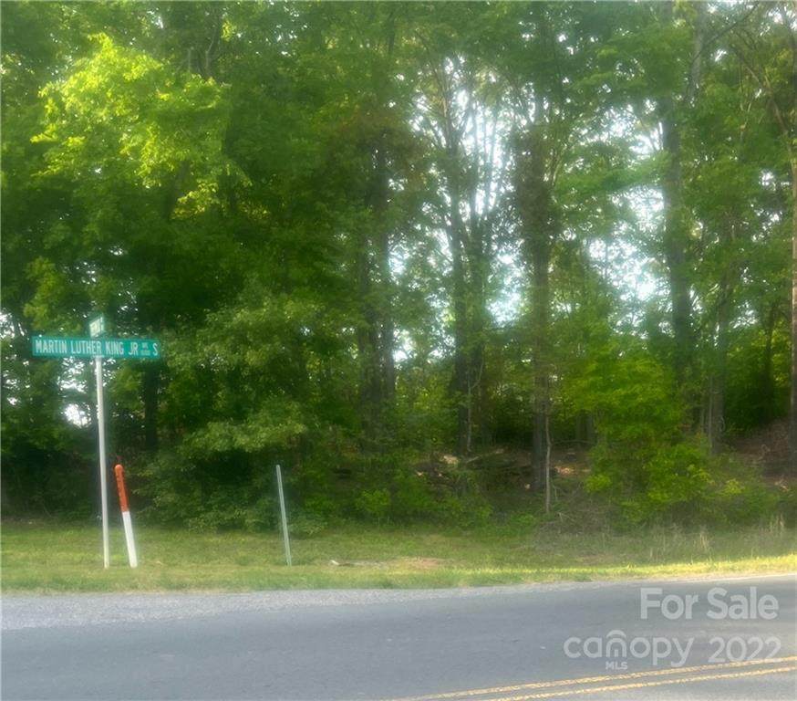 00 Martin Luther King Jr Avenue - Photo 1