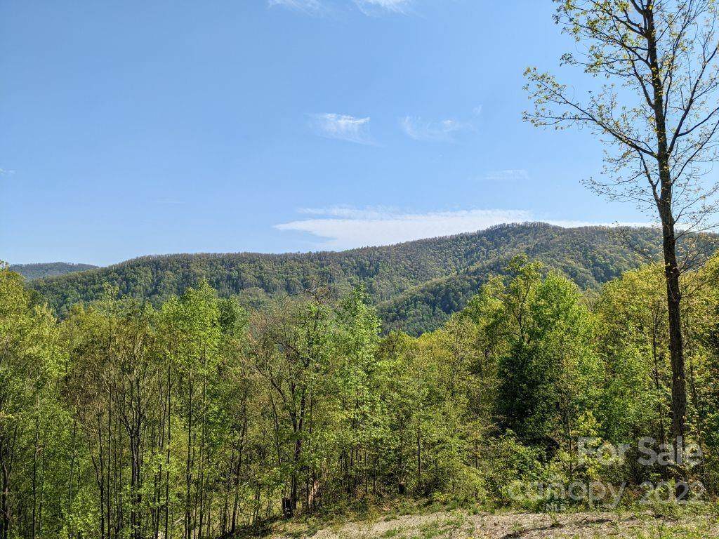 351 Kestrel Lane - Photo 1