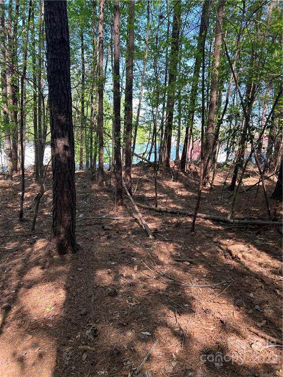 5244 Whitewater Drive - Photo 1