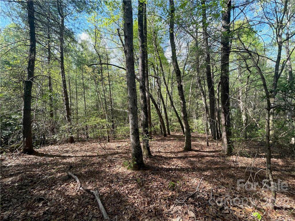 103 Maple Hill Drive - Photo 1