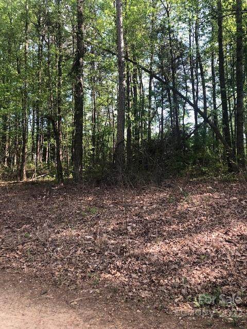 Lot 72 Meandering Lane - Photo 1