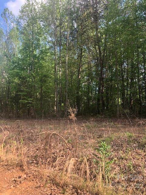 Lot 73 Meandering Lane - Photo 1