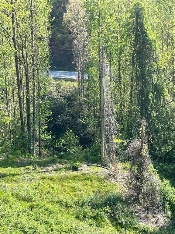 1010 Windy Hollow Drive - Photo 1