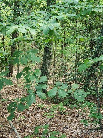 0 Sleepy Hollow Road - Photo 1
