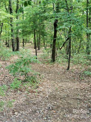 0 Sleepy Hollow Road - Photo 1