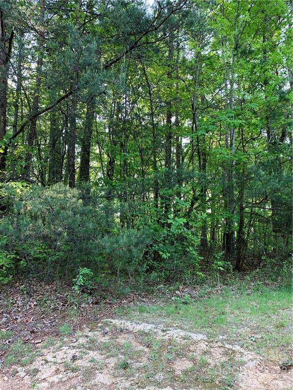 00 Mountain View Drive - Photo 1