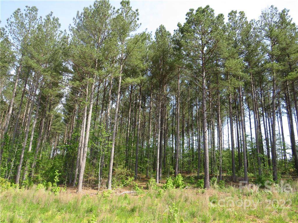 0 Piney Mountain Church Road - Photo 1