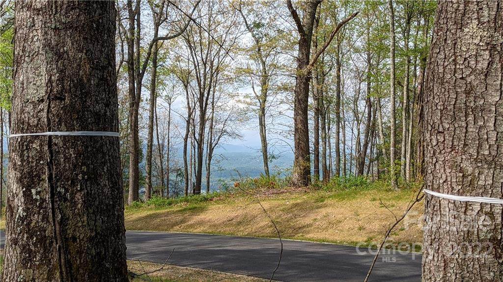 TBD Mountain Grove Lane - Photo 1