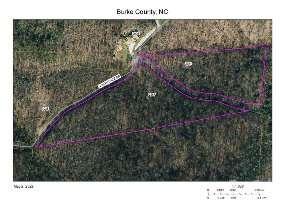 2967 & 2941 North Face Drive - Photo 1