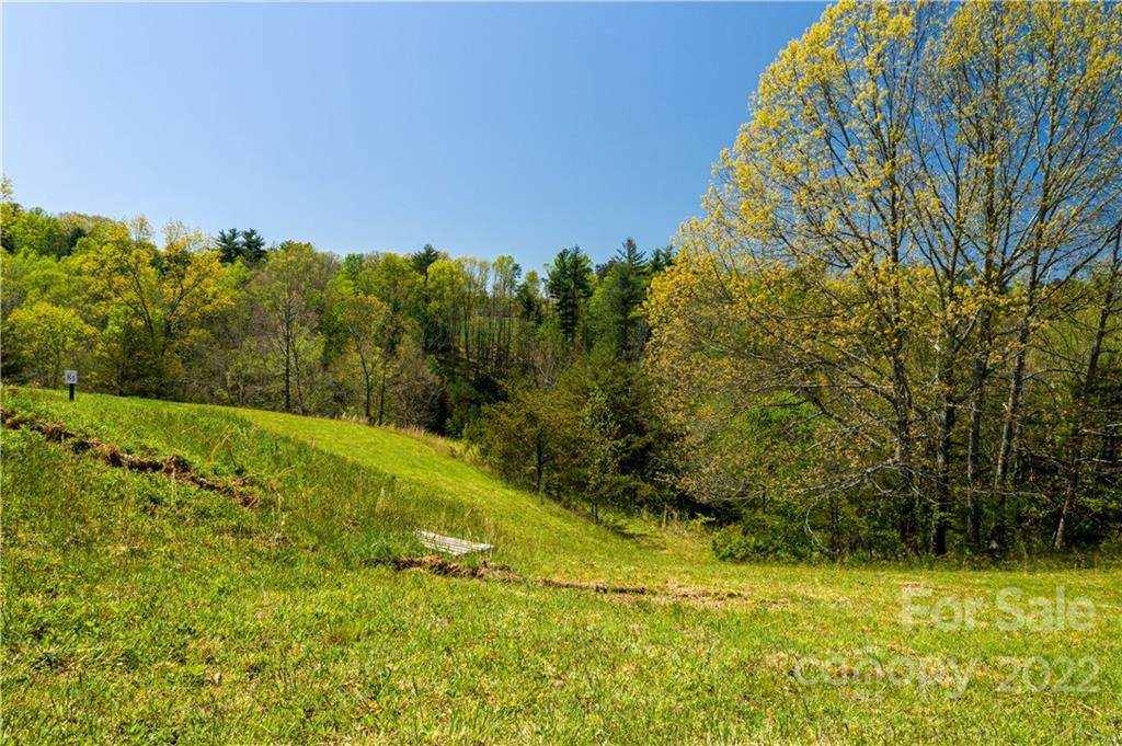 523 Wilma Dykeman Trail - Photo 1