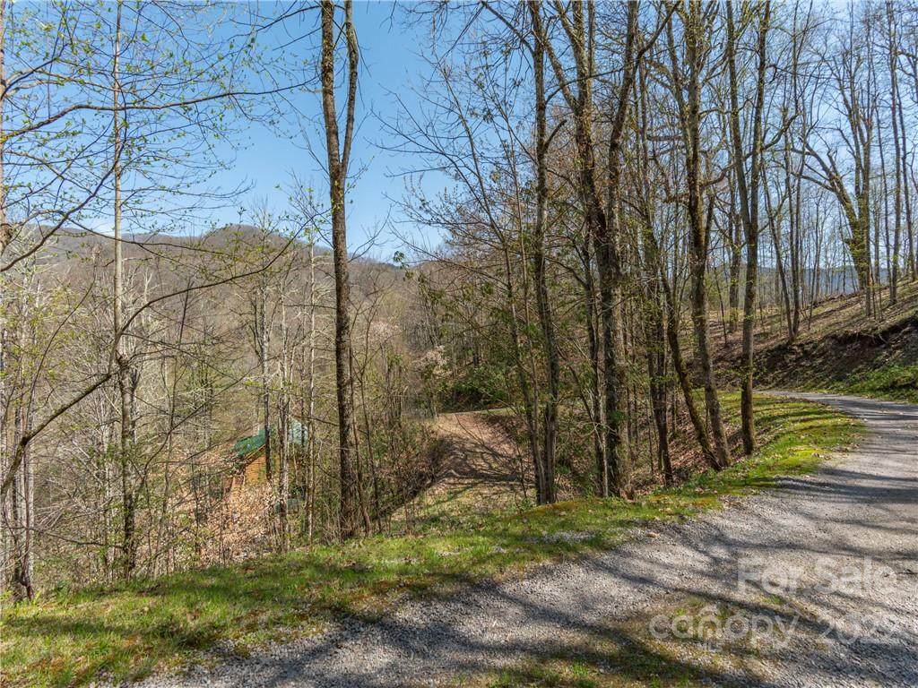 90 Young Bear Trail - Photo 1