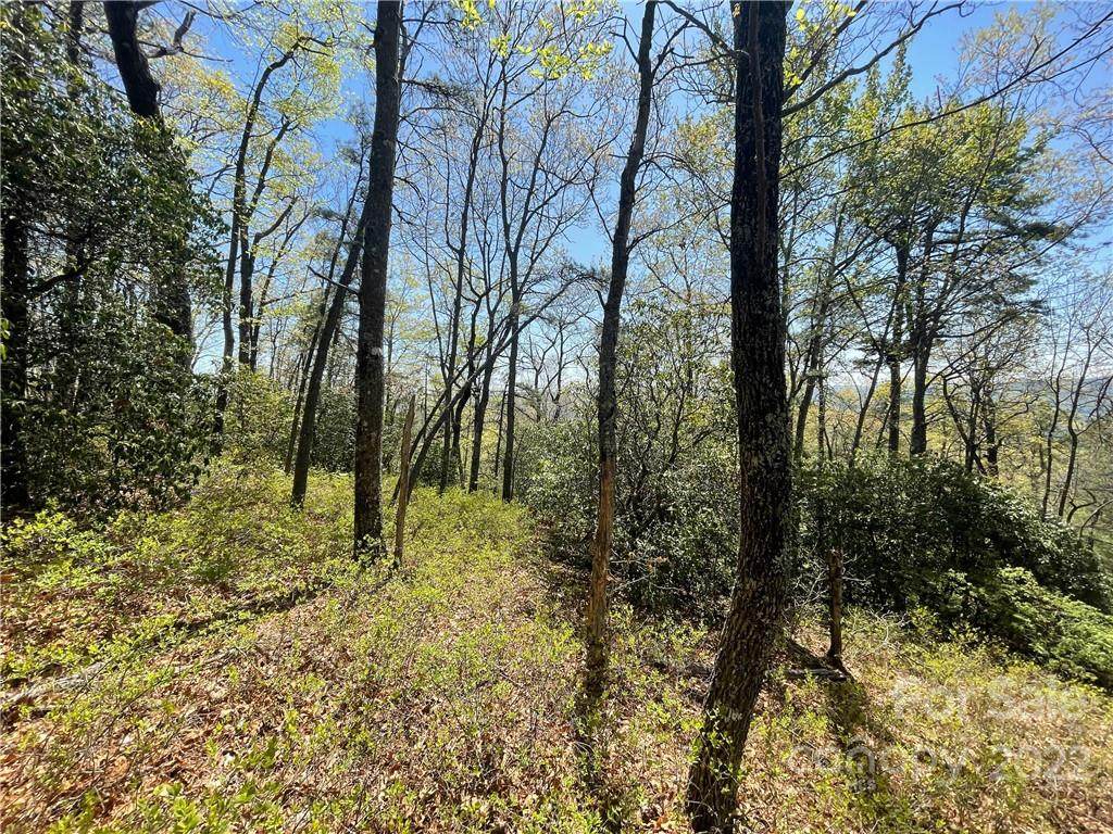 0000 Ivy Lane - Photo 1