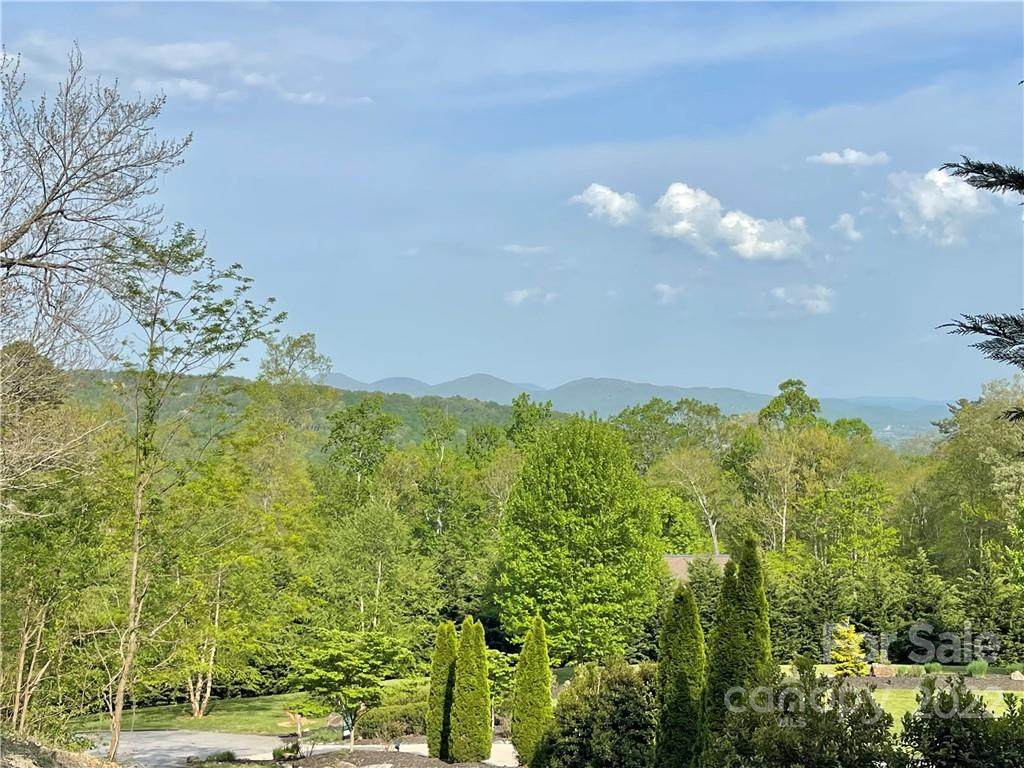172 Pisgah Forest Trail - Photo 1