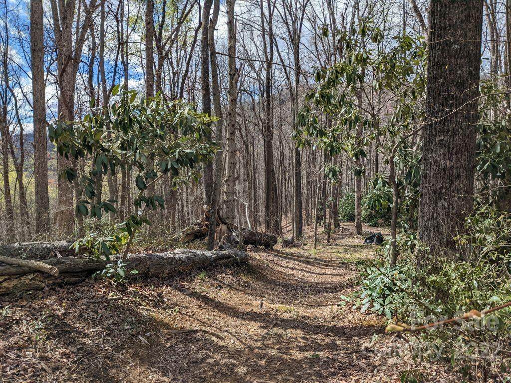 181 Ironwood Lane - Photo 1