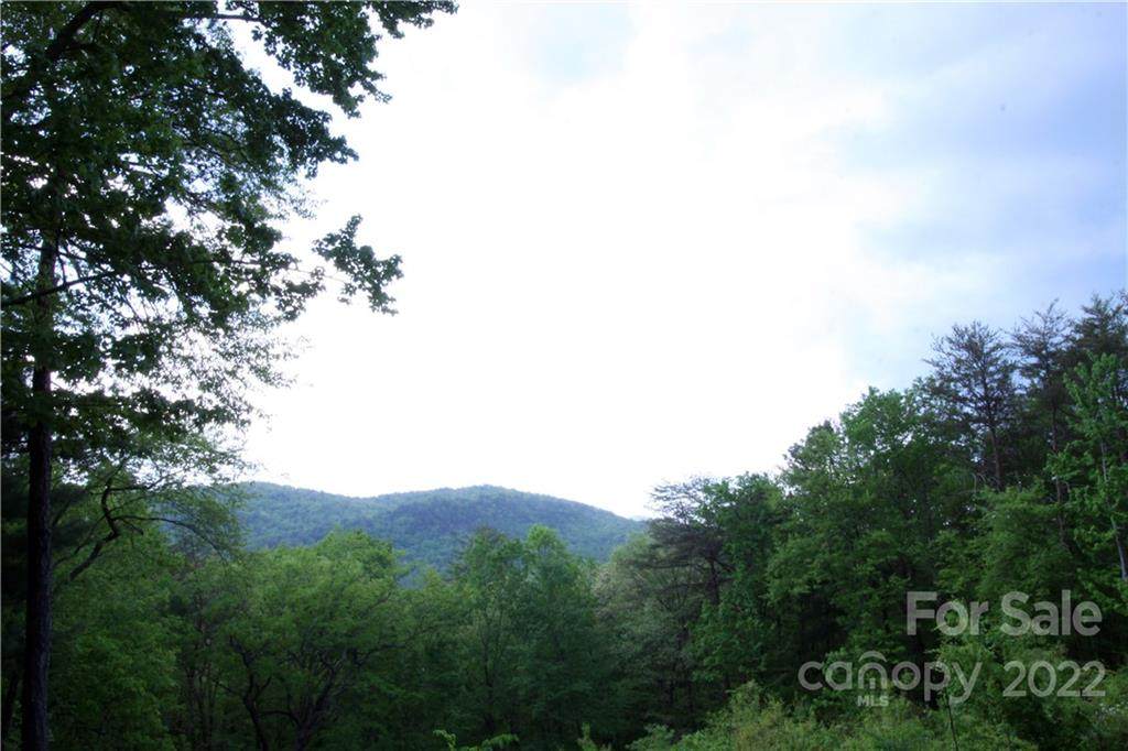 Lot 38 Round Mountain Road - Photo 1