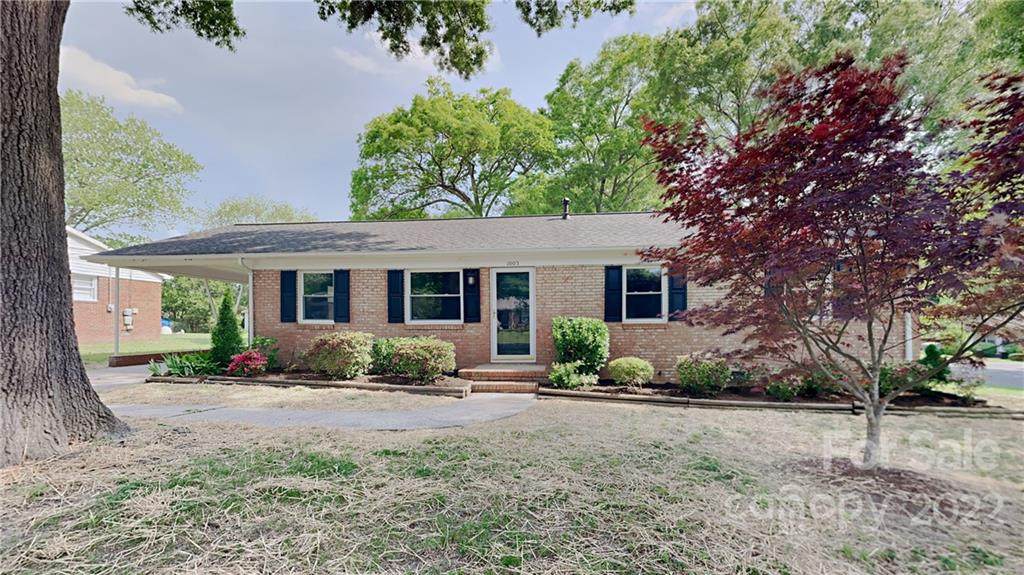 1003 Holly Drive - Photo 1