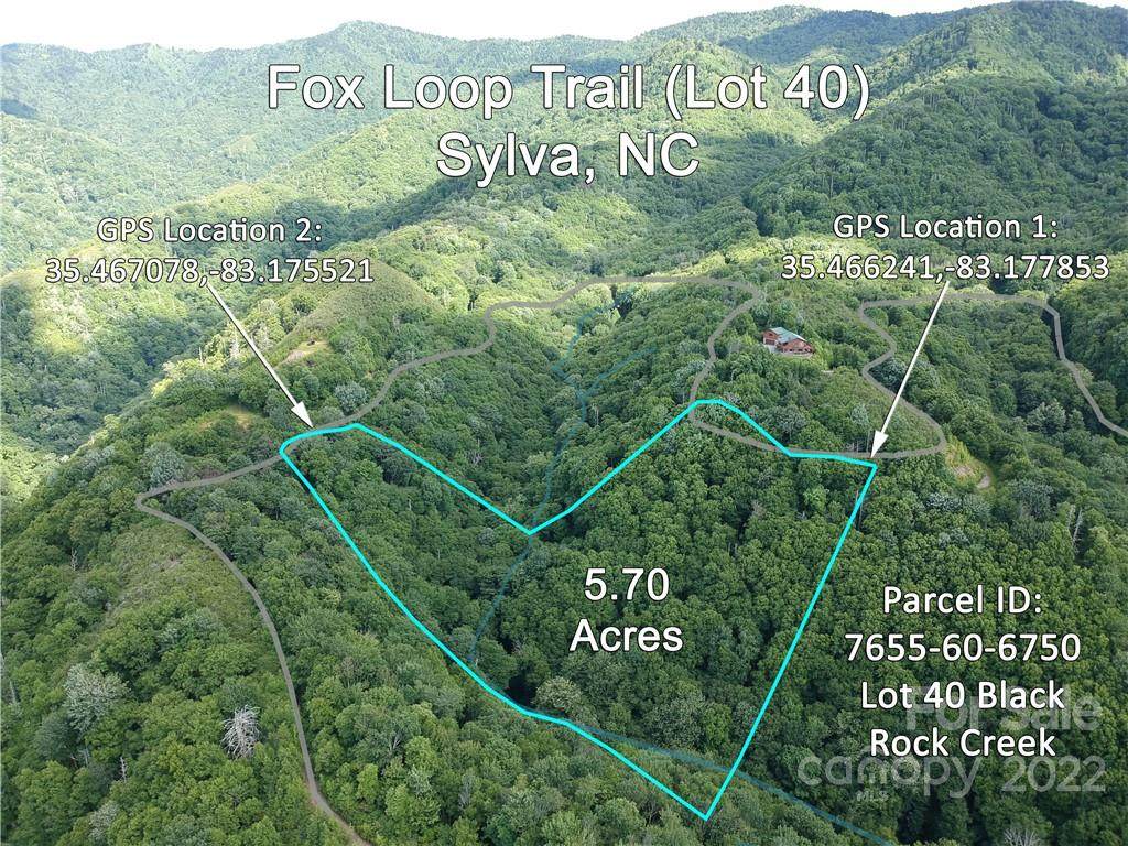 Lot 40 Fox Loop Trail - Photo 1